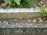 image of grave number 624218